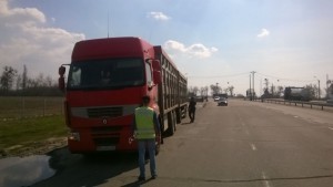 Перегруз транспортного средства